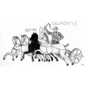 Click para ampliar. Pulsa en el nombre para ver la ficha. El auriga Calimorfus